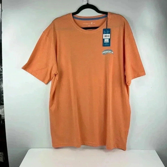 CARIBBEAN JOE CORAL SZ L COTTON/SPANDEX NWT WITH GRAPHIC SOFT SHORT SLEEVES - Picture 1 of 5